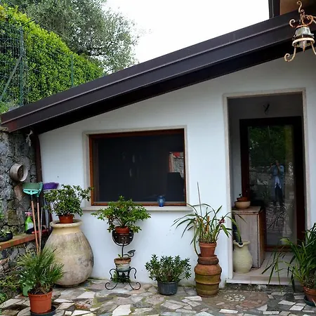 Monolocale Daire *
